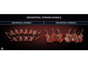 VSL (Vienna Symphonic Library) Orchestral Strings Bundle