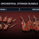 Orchestral Strings Bundle Orchestral Strings Bundle