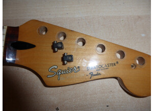 Fender Telecaster & Stratocaster Neck / Manche (71366)
