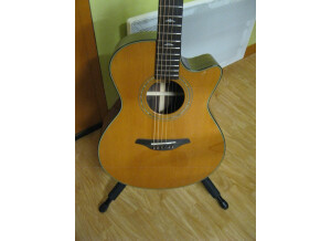 Furch G23-CR Cut (1684)