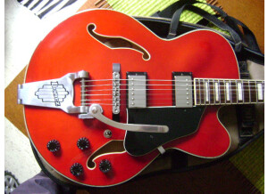 Ibanez AFS 75 T