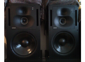 Genelec 1038B (7636)