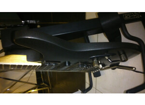 EVH Wolfgang Bridge Pickup - Zebra (98398)