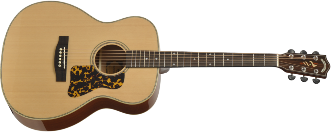 Headway Guitars HF-590AS NA : Headway Guitars HF-590AS NA (52354)