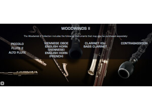 VSL (Vienna Symphonic Library) Woodwinds I