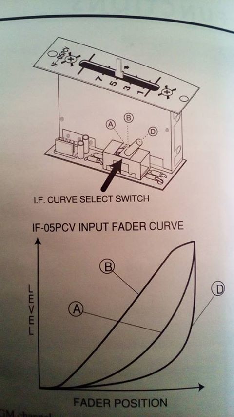 20597256 1575463662485699 923605455148534916 n