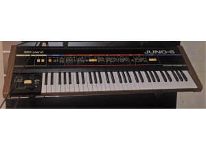 Juno  6