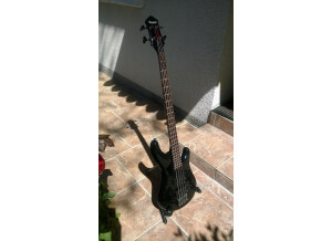 Ibanez RB850 (78325)