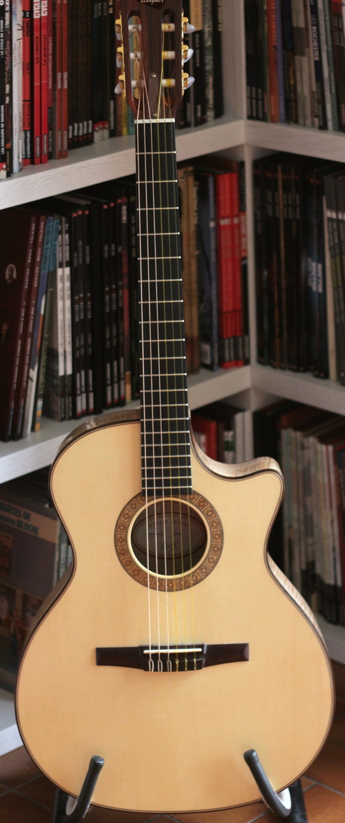 Taylor NS64CE