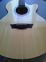 Dean Guitars Performer Plus