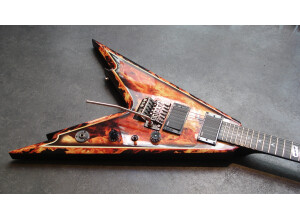 Dean Guitars Razorback V 255 (69061)