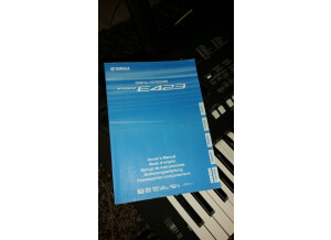 Yamaha PSR-E423 (52214)