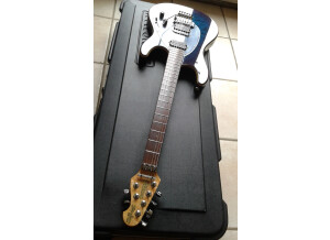 Music Man Steve Morse (35307)