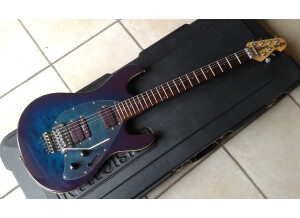 Music Man Steve Morse (29475)