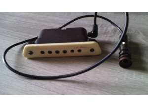 L.R. Baggs M1 Active (42999)