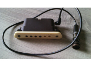 L.R. Baggs M1 Active (56013)