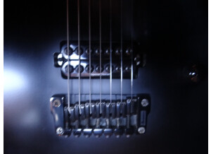 Ibanez RGD7421 (38482)