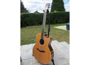 Eastman Ac322ce (80271)