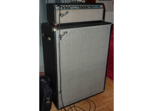 Fender Bassman 100 (Silverface) (91974)
