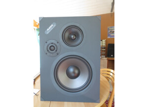 Alesis Monitor Two (86842)
