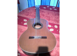 Alhambra Guitars 1C A