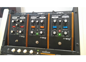 Moog Music MF-101 Lowpass Filter (36601)