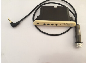 L.R. Baggs M1 Active (75784)