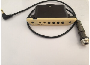 L.R. Baggs M1 Active (91021)