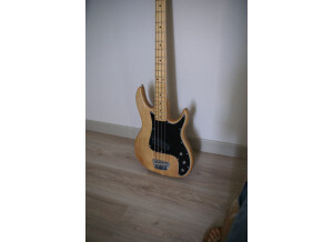 Peavey Fury (36025)