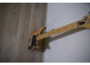 Peavey Fury (60750)