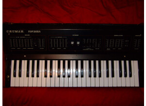 Crumar Performer (23217)