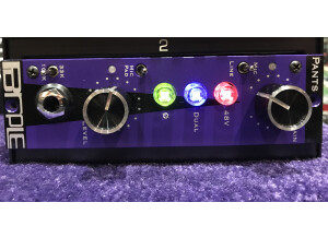 Purple Audio Pants (84258)