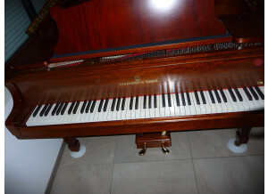 Steinway & Sons S155