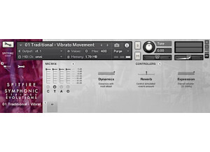 Spitfire Audio Symphonic Strings Evolutions (79737)