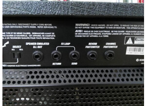Marshall DSL401 (5873)