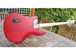 Sterling by Music Man Ray4 (1173)