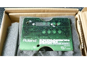 Roland SR-JV80-04 Vintage Synthesizer (95704)