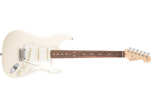 Fender American Professional Stratocaster - Olympic White / Rosewood