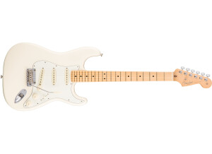 Fender American Professional Stratocaster - Olympic White / Maple