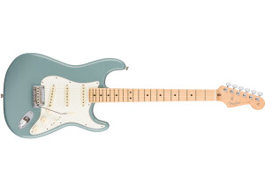 Fender American Professional Stratocaster - Sonic Gray / Maple