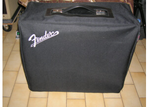 Fender '65 Princeton Reverb [2008-Current] (34068)