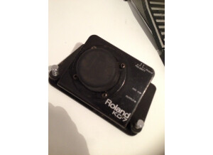 Roland KD-7 (800)