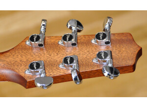 Takamine P1DC (95610)