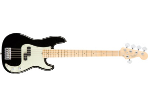 Fender American Professional Precision Bass V - Black