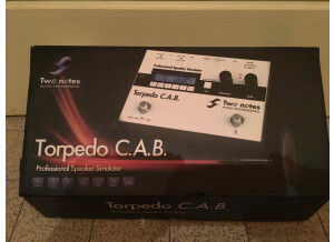 Two Notes Audio Engineering Torpedo C.A.B. (Cabinets in A Box) (68586)