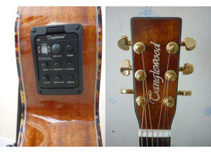 Tanglewood TW47 E (42931)
