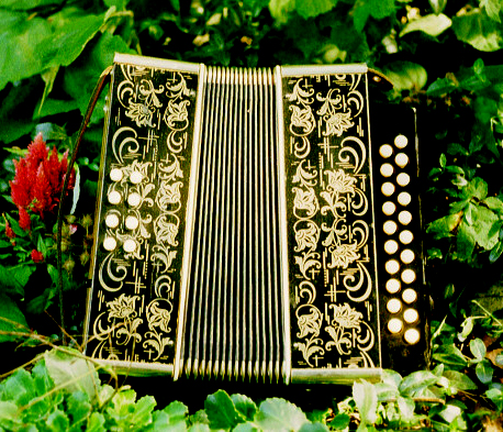 Scholer Accordéon diatonique 8 basses