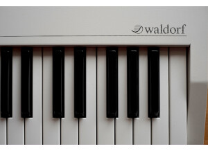 Waldorf Blofeld Keyboard (44954)