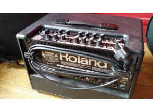 Roland AC-60 (21980)