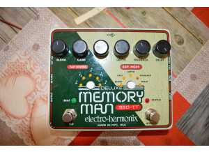 Electro-Harmonix Deluxe Memory Man 1100-TT (5140)
